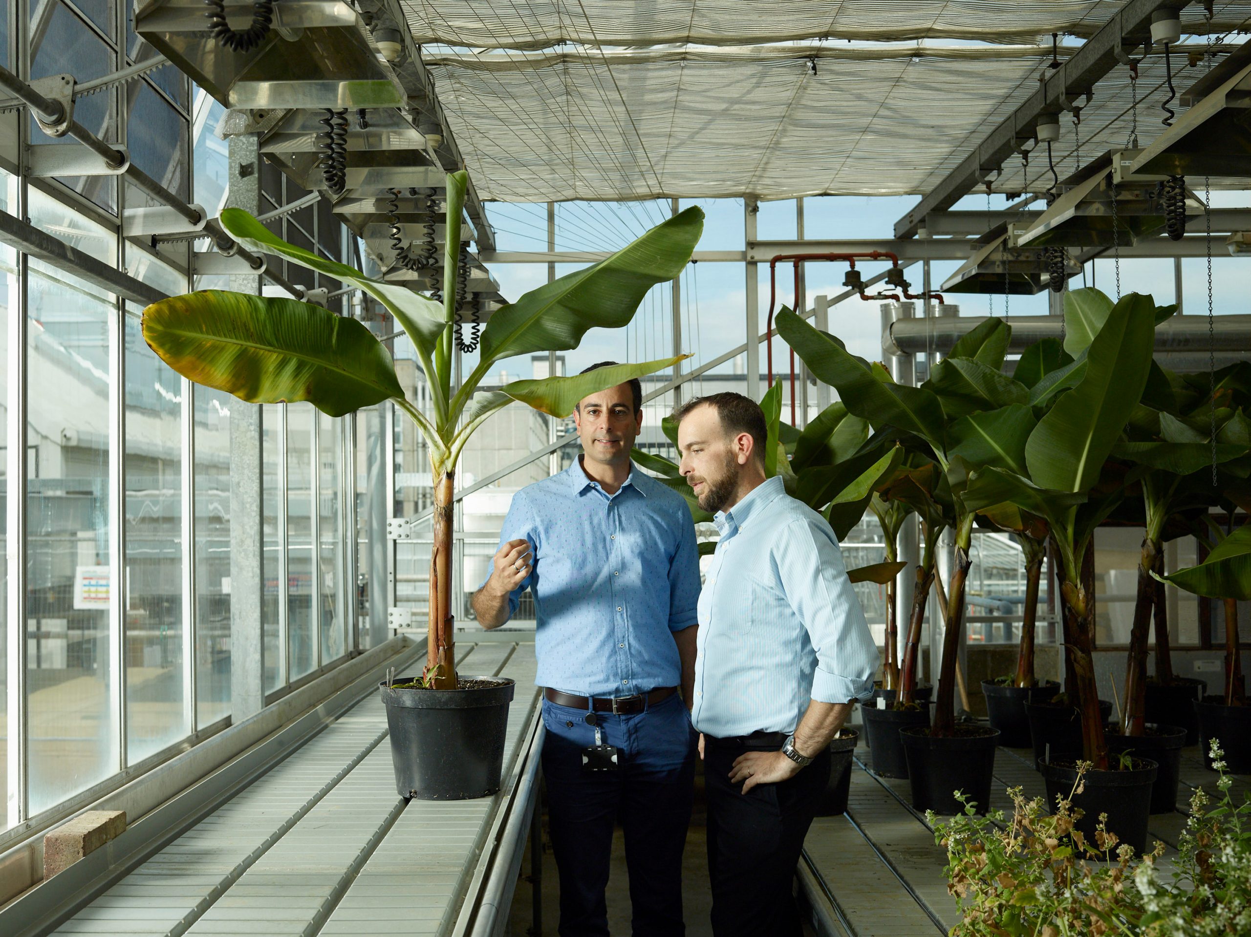 Tropic Biosciences raises USD 35 million led by Blue Horizon