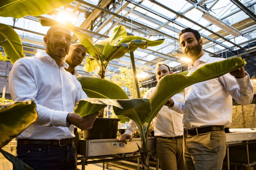 Tropic Biosciences raises USD 35 million led by Blue Horizon